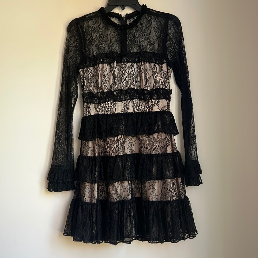 Alexis, small, lace dress, sheer sleeves and part of back, black and nude